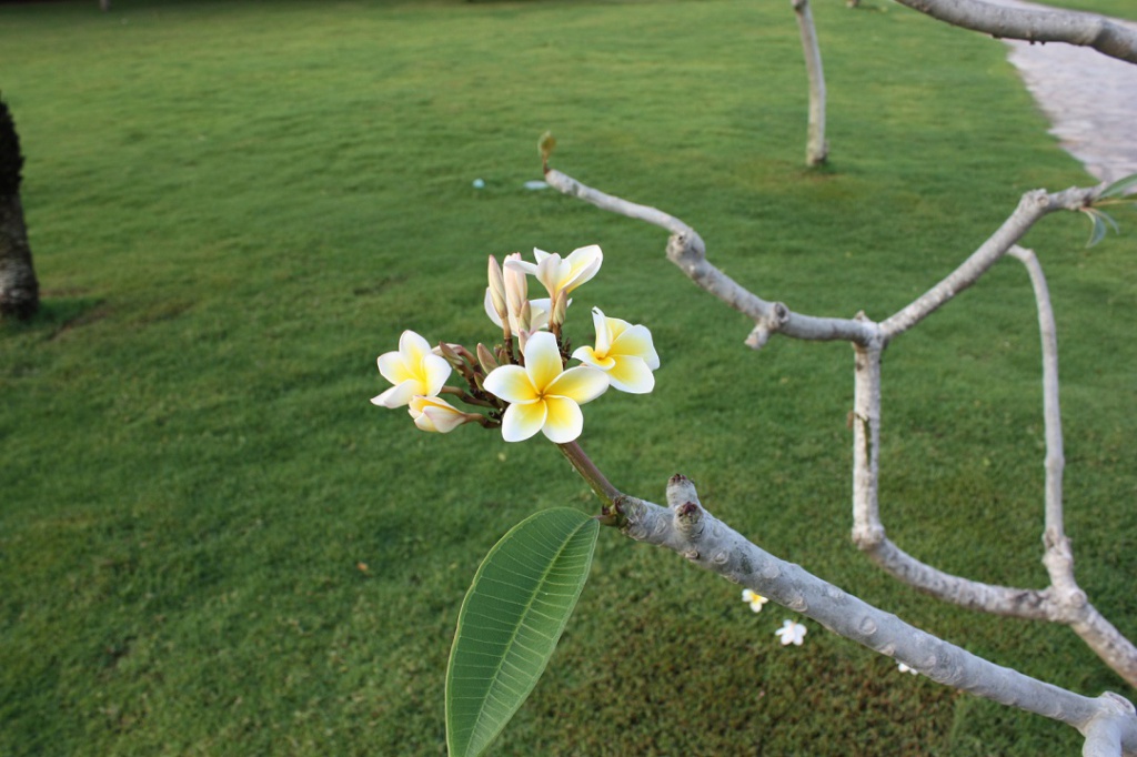 Китай 2010 096.jpg